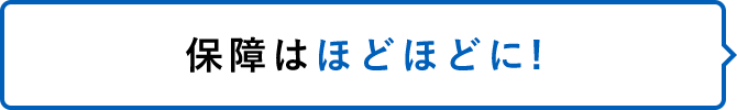 保障はほどほどに！